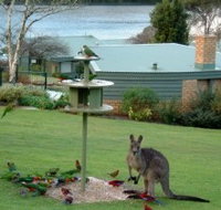 Gipsy Point Lakeside - Accommodation Nelson Bay