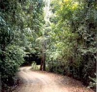 Mt Glorious Getaway Cottages And Conference Centre - Accommodation Nelson Bay