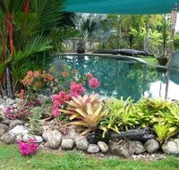 Daintree Wild Bed And Breakfast - Accommodation Nelson Bay