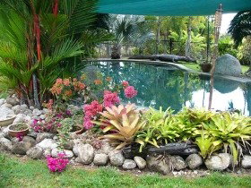 Daintree Wild Bed And Breakfast - Accommodation Nelson Bay 0