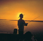 Point Stuart Wilderness Lodge - Accommodation Nelson Bay