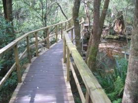 The Mouses House - Accommodation Nelson Bay 0