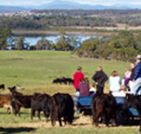 Bonny Brae - Accommodation Nelson Bay