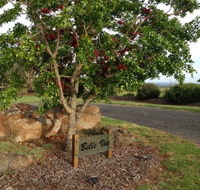 Belle Vue Studio - Accommodation Nelson Bay