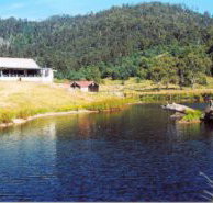 Millybrook Lodge - Accommodation Nelson Bay