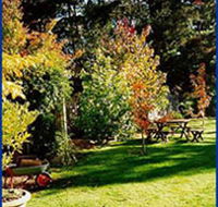 Peartree Cottage Leura - Accommodation Nelson Bay