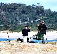 Binalong Bungalows - Accommodation Nelson Bay