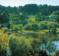 Possum Cottage On The Lake - Accommodation Nelson Bay