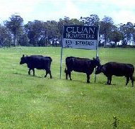 Cluan Homestead - Accommodation Nelson Bay
