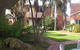 Fronds - thumb 3