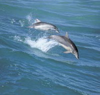 Seachange - Accommodation Nelson Bay