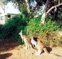 Avoca Dell Caravan Park - Accommodation Nelson Bay