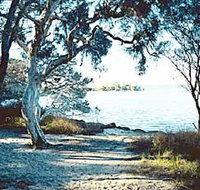 The Cove - Accommodation Nelson Bay