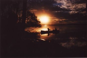 Lake Weyba Cottages Noosa - Accommodation Nelson Bay 12