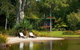 Lake Weyba Cottages Noosa - thumb 18