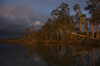 Lake Weyba Cottages Noosa - Accommodation Nelson Bay 27