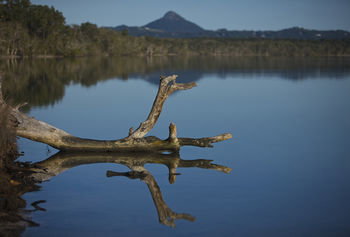 Lake Weyba Cottages Noosa - Accommodation Nelson Bay 28