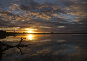 Lake Weyba Cottages Noosa - Accommodation Nelson Bay 33