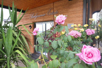 Balgownie Estate Vineyard & Spa - Accommodation Nelson Bay 2