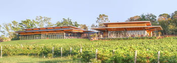 Balgownie Estate Vineyard & Spa - Accommodation Nelson Bay 5
