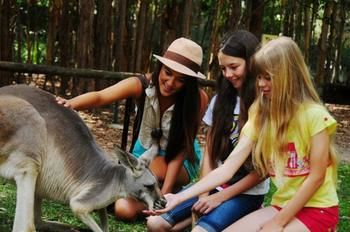 Pacific Horizons Resort - Accommodation Nelson Bay 23