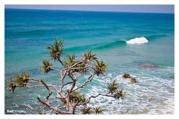Pacific Horizons Resort - Accommodation Nelson Bay 24