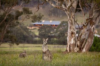 Emirates One&Only Wolgan Valley Australia - Accommodation Nelson Bay 8