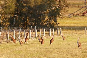 Talga Estate - Accommodation Nelson Bay 1