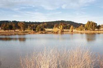 Talga Estate - Accommodation Nelson Bay 3