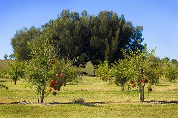 Talga Estate - Accommodation Nelson Bay 11