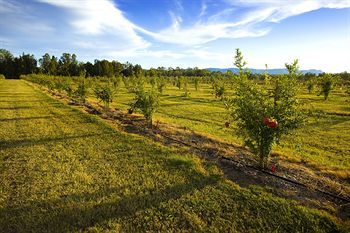 Talga Estate - Accommodation Nelson Bay 12