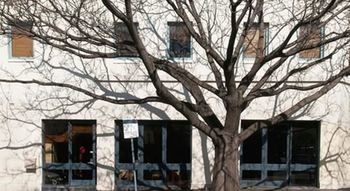 Lily Sands Inn - Accommodation Nelson Bay 6