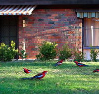 Crimson Villa - Accommodation Nelson Bay