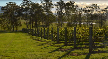 H Boutique Hotel - Nelson Bay Accommodation.com 34