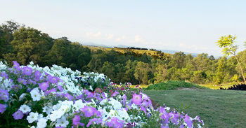 Wine Country Villas - Accommodation Nelson Bay 27