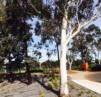 Box Hill Studios at Canterbury Gardens - Accommodation Nelson Bay