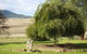 Strathearn Park Lodge - thumb 17