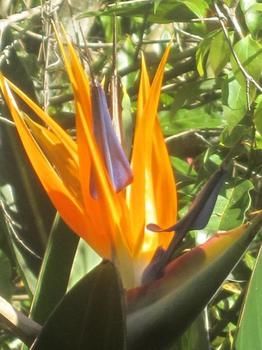 Sunshine Valley Cottages - Accommodation Nelson Bay 1