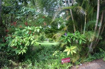 Sunshine Valley Cottages - Accommodation Nelson Bay 8