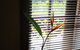 Sunshine Valley Cottages - thumb 14