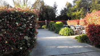 Branxton House Motel, Hunter Valley - Accommodation Nelson Bay 13