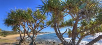 Alex Beach Cabins - Accommodation Nelson Bay 1