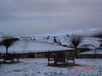 Bowen Inn Motel - Accommodation Nelson Bay 0
