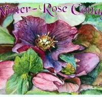 A Winter-rose Cottage BampB - Accommodation Nelson Bay