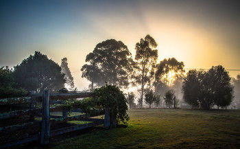 Elfin Hill Country Accommodation - Accommodation Nelson Bay 10