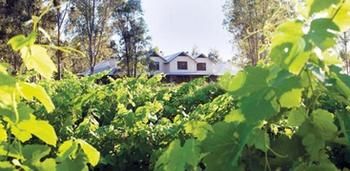 Spicers Vineyards Estate - Accommodation Nelson Bay 3