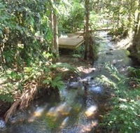 Treetops Accommodation Montville - Accommodation Nelson Bay