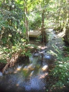 Treetops Accommodation Montville - Accommodation Nelson Bay 0