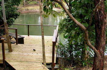 Treetops Accommodation Montville - Accommodation Nelson Bay 8