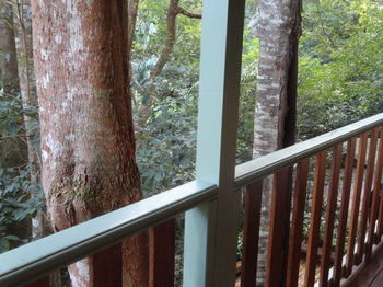 Treetops Accommodation Montville - Accommodation Nelson Bay 9